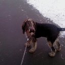 ���� �����, �����-���������, 52 ���� - ��������� 2 ������� 2012 � ������ ���� ����������