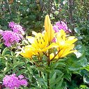 ���� �����, �������, 62 ���� - ��������� 21 ������ 2012 � ������ �������