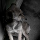 ���� �����, ����, 38 ��� - ��������� 6 ������ 2010 � ������ ���� ������� ����������