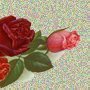 ���� �������, ��������, 67 ��� - ��������� 13 ������� 2012 � ������ ���� ����������