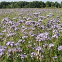 ���� �������, ������, 64 ���� - ��������� 27 ���� 2012 � ������ ���� ����������