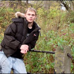 ����, 37 ���, ���������