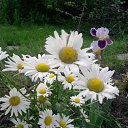 ���� ������, ������, 63 ���� - ��������� 6 ����� 2012 � ������ ���� ������