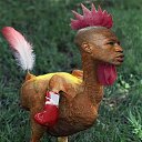  ++, , 55  -  19  2013    