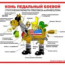 ���� Dim, ����, 52 ���� - ��������� 19 ����� 2010 � ������ ����������� ��������