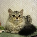 ��� ����� � - ������-��������� ))))) �� ������� ��� ��������� ������� :-)�