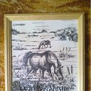 ���� �������, ������, 61 ��� - ��������� 4 ������� 2011 � ������ ������-������