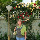 ���� ����, ����, 69 ��� - ��������� 24 ������ 2011