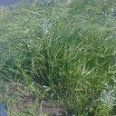 ���� �������, �����������, 92 ���� - ��������� 9 ���� 2012 � ������ ���� ����������