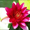 ���� Anastasiya, ��������������, 31 ��� - ��������� 16 ���� 2010 � ������ �[��� ����� �������]�