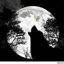 ���� ���, ����, 41 ��� - ��������� 2 ����� 2013 � ������ ���� ����������