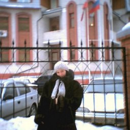 ���������, ������, 40 ���