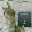 ���� ���������� ����� �� ������� ���� �����