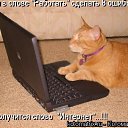 ���� ����������, �����, 24 ���� - ��������� 25 ������ 2011 � ������ ����������� �����