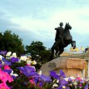 ���� �������, �����, 51 ��� - ��������� 10 ������� 2014 � ������ ���������� �������������-2013�