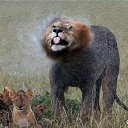 ���� �����, ������, 54 ���� - ��������� 25 ������� 2014 � ������ �FunnyAnimals�