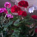 ��� ����� �� ������� ����� ��� ������������