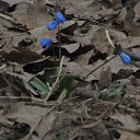 ���� �����, ������, 67 ��� - ��������� 21 ������� 2013 � ������ ���� ����������