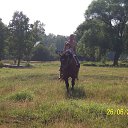 ���� �����, ���������, 41 ��� - ��������� 15 �������� 2013 � ������ ���� ����������