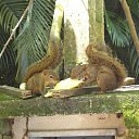 ���� ����� ��������, �����-���������, 75 ��� - ��������� 9 ������� 2014 � ������ �������������