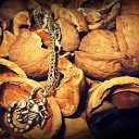 ���� Nata Li Legata, ��������� - ��������� 8 ������� 2013 � ������ ������.�