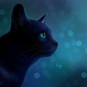 ���� ��������, ������ - ��������� 30 ������� 2013 � ������ ���� ����������