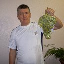 ���� �������, ��������, 62 ���� - ��������� 5 ������ 2014 � ������ ���� ����������