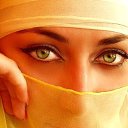 ���� �������, ���������, 42 ���� - ��������� 18 ������ 2014 � ������ ���� ����������