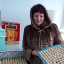 ���� ���������, �����������-��-����� - ��������� 1 ����� 2014