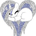    ~Princess Wind~              )   ,,, )    