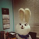 ���� �������, �����, 43 ���� - ��������� 13 ����� 2014