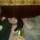���� Aleksey, �����-���������, 37 ��� - ��������� 12 ������ 2014 � ������ ���� ����������