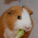 ���� Regina, ����, 86 ��� - ��������� 10 ������ 2014