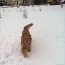 ���� ������, ������, 51 ��� - ��������� 25 ������� 2013 � ������ ���� ����������