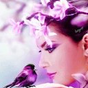  Faceo Fdarknes, , 74  -  25  2013