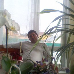 ���� �����, ���, 43 ���� - ��������� 11 ������ 2014