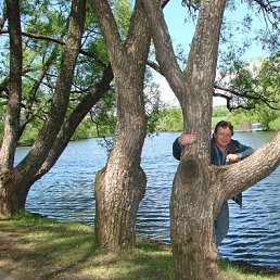 ����, ������, 64 ����