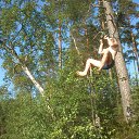 ���� �������, �����-���������, 31 ��� - ��������� 16 ������� 2013 � ������ ���� ����������