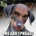 ���� ������, �������, 31 ��� - ��������� 6 ����� 2014 � ������ ���� ����������