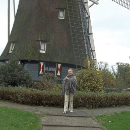 ����������