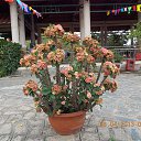 ���� ������, ������ ��������, 60 ��� - ��������� 19 �������� 2013 � ������ ���� ����������