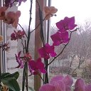���� �����, ��������� - ��������� 30 ������ 2013 � ������ ���� ����������