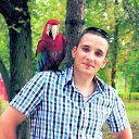 ���� ����, �����, 38 ��� - ��������� 10 ������ 2013