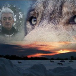 �������, �������, 59 ���