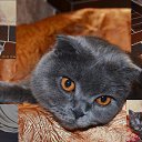 ���� ������ ����� �������,����������� ���������! �� ������� ����� ������!�