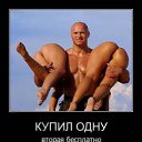 ���� ����, ������, 54 ���� - ��������� 31 ������� 2013 � ������ �������������