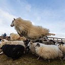 ....�������� �����... �� ������� �������....�