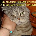 ���� ����, ������ ��������, 44 ���� - ��������� 20 ������ 2014 � ������ ���� ����������