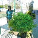 ���� ����, ����������, 66 ��� - ��������� 22 �������� 2013