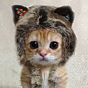 ���� ��������, ������, 51 ��� - ��������� 14 ������� 2014 � ������ ���� ����������